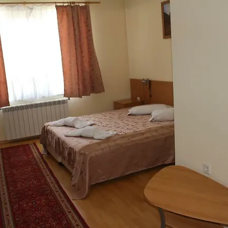 Hotel International