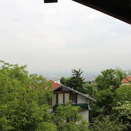 International 2* Sofia